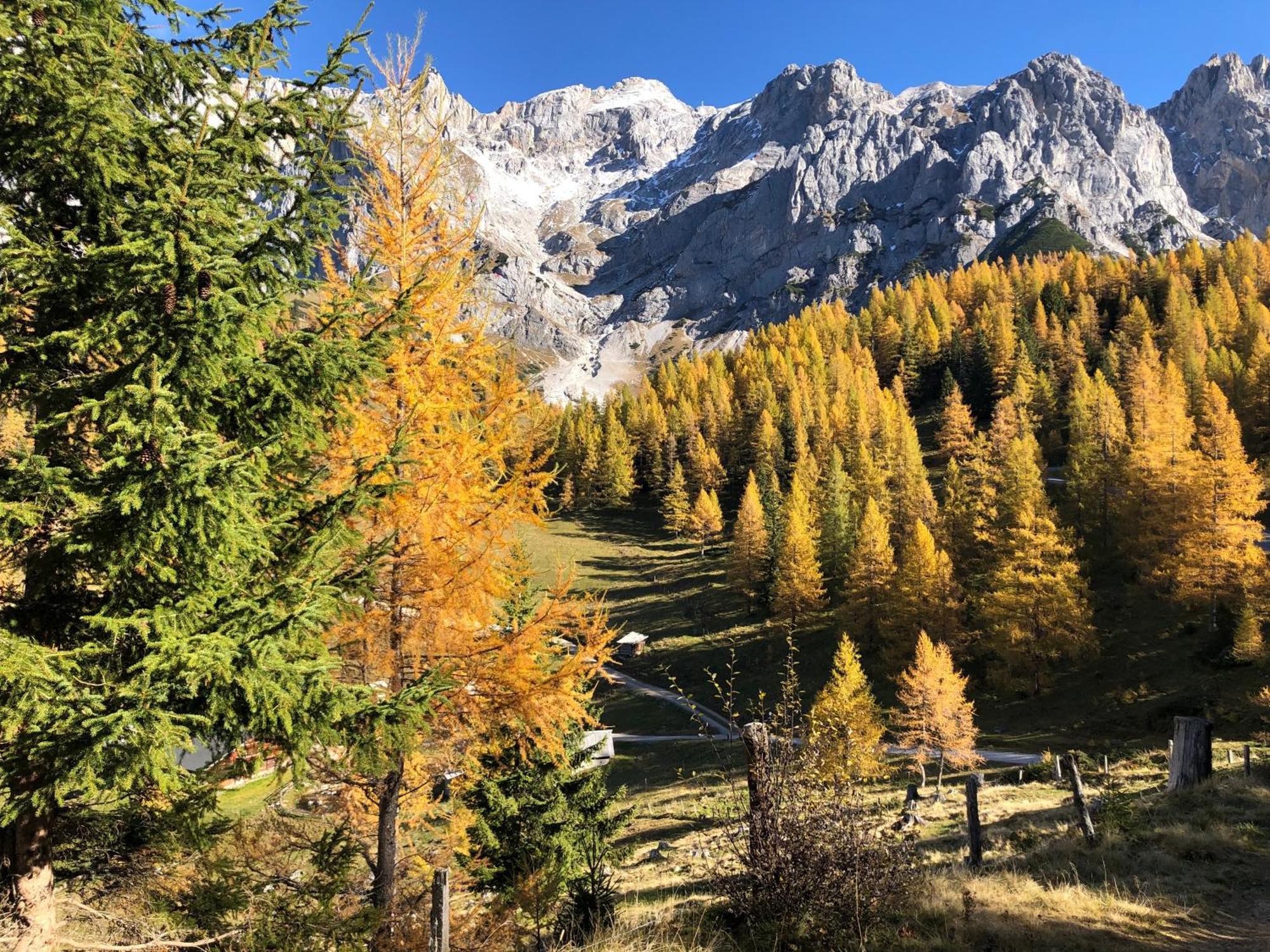 Romantikapartment Mit Sommercard Ramsau am Dachstein Luaran gambar