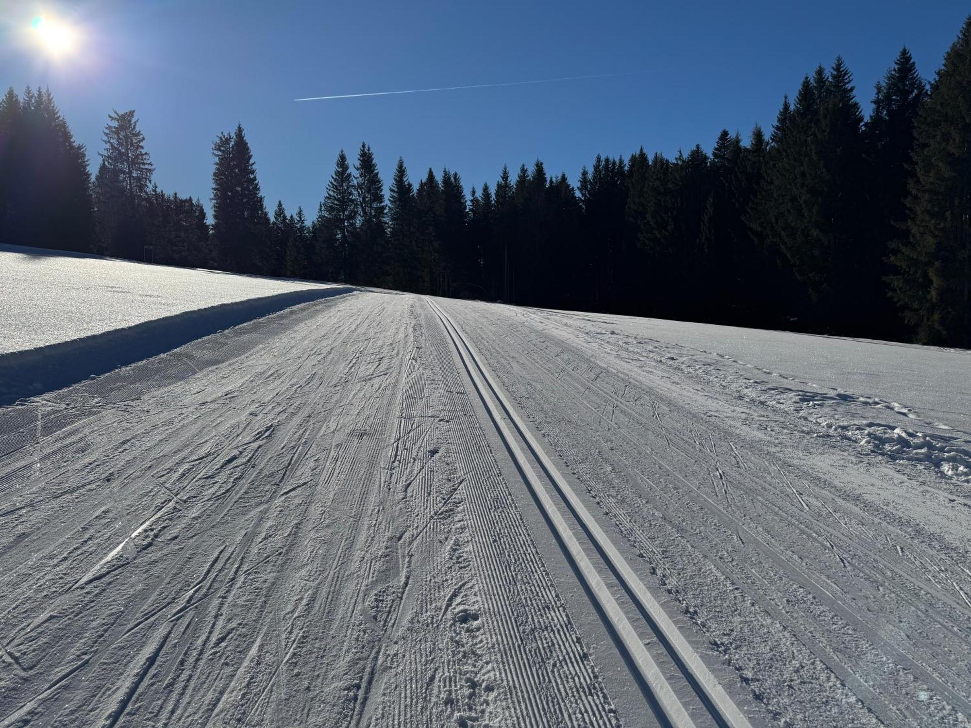 Romantikapartment Mit Sommercard Ramsau am Dachstein Luaran gambar