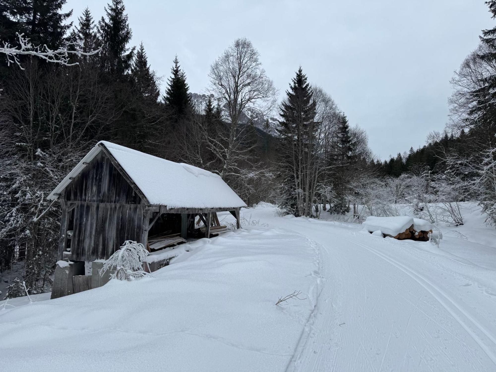 Romantikapartment Mit Sommercard Ramsau am Dachstein Luaran gambar